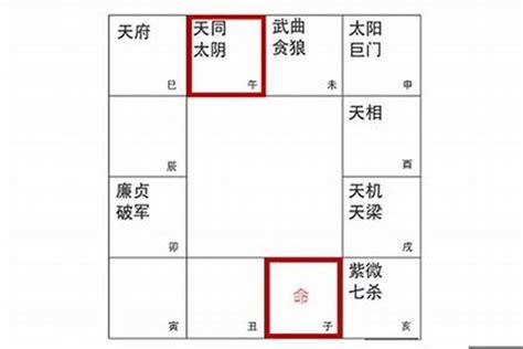 天同坐命|天同星坐守命宫的分析 – 紫微麥